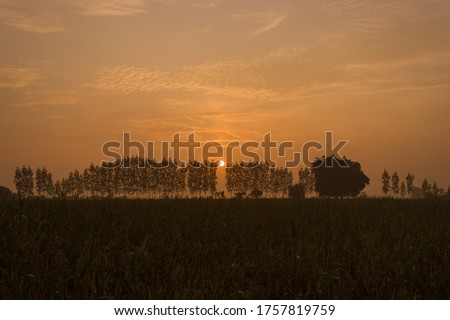 Captured Sun Rise Between trees at nalsarovar gujarat.