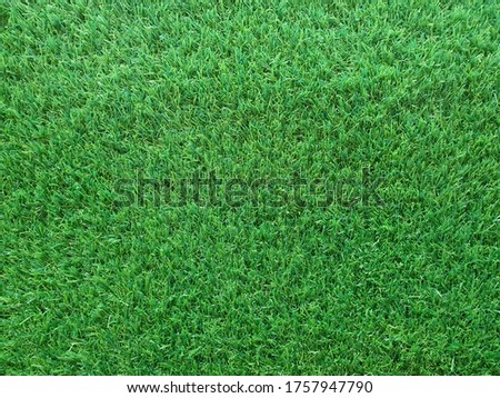 Artificial grass background with copy space.green wallpaper for text and picture.green texture