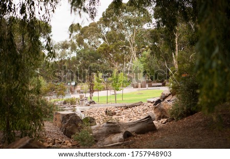 Clonlea Park located on Murray Road, Gawler South Australia which includes a family friendly precinct with Skate Park, Scooter Tracks, Bike Tracks, Open Space, Nature Play and Outdoor Art