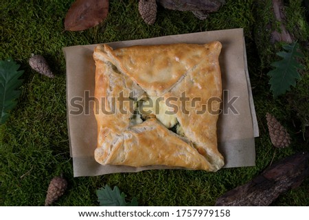 Caucasian pastries on a natural background with moss