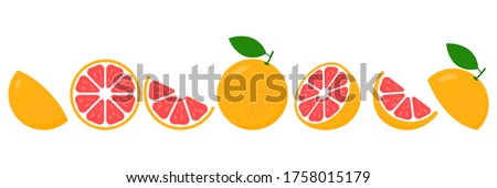 Grapefruit fresh slices set. Cut Grapefruits slice for juice or vitamin c logo. Citrus icons vector illustration isolated on white background. Royalty-Free Stock Photo #1758015179