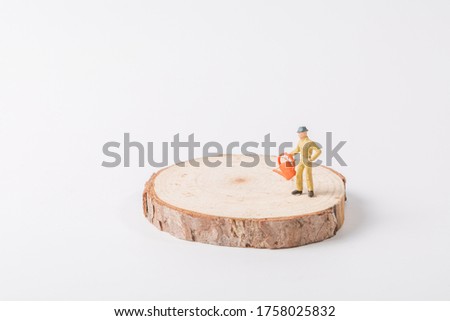Little planter standing on a wooden pile