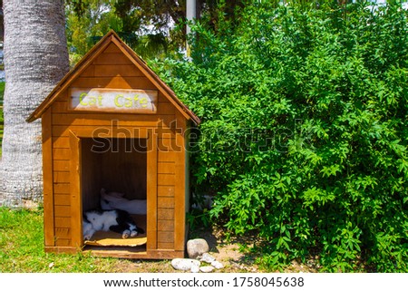 The cat sleeps in the house on which is written "Cat cafe" Royalty-Free Stock Photo #1758045638