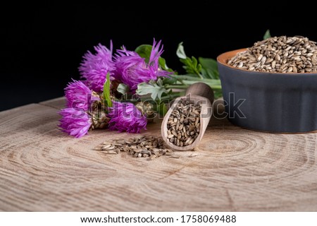 Milk thistle (Silybum marianum) seeds and flowers on a wooden background. Homeopathy concept Royalty-Free Stock Photo #1758069488