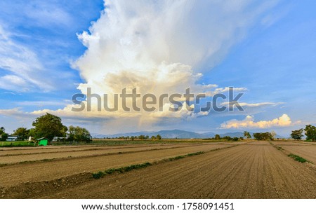 Landscape picture about rice fields, And beautiful sky In the rainy season