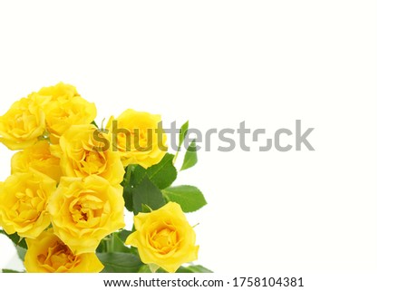 yellow flower bouquet  in bright light