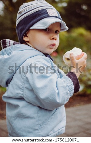 Two years old boy with blue eyes and dressed in blue outfit eating apple.