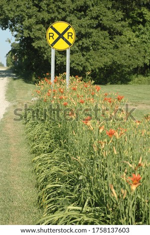 Rail road crossing sign and orange lilies