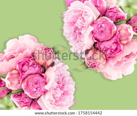 Two bouquets of pink peonies isolated on a green background