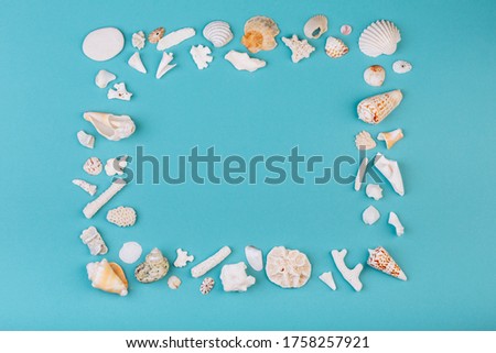 Frame for photo is made from different kinds of seashells, corals in front of a blue background, isolated with a caption for text. Vacation memory concept