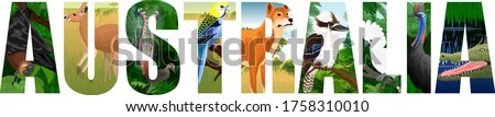 vector set of Australia word with animals with lyreburd, dingo, bat, parrot, crocodile, kookaburra, kangaroo and cassowary