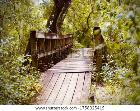 Hiking trail bridge at Little Manatee State Park, FL