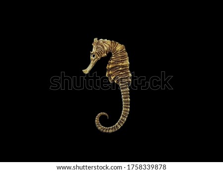 The dried seahorse (Hippocampus) on isolated grey background. they are harvested from the sea and traded internationally, a useful component of traditional Chinese medicine.