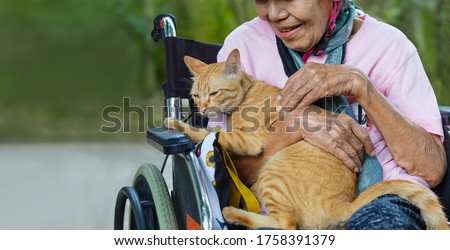 Pet therapy for the Elderly . Pets make patients healtier and happier. Royalty-Free Stock Photo #1758391379
