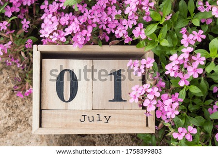 Saponaria officinalis calendar on July 1 in pink colors