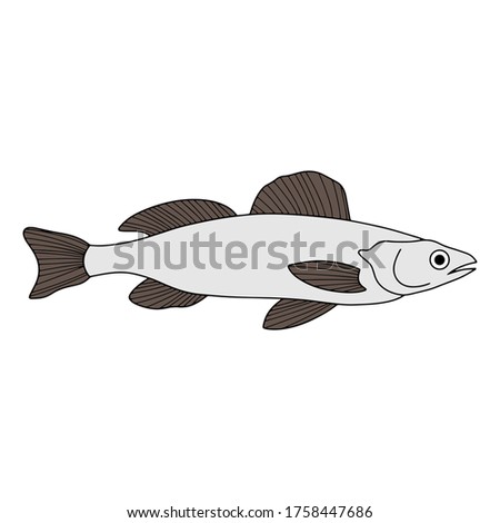 Doodle fish icon isolated on white. Seafood, logo. Hand drawing art line. Sketch vector stock illustration. EPS 10