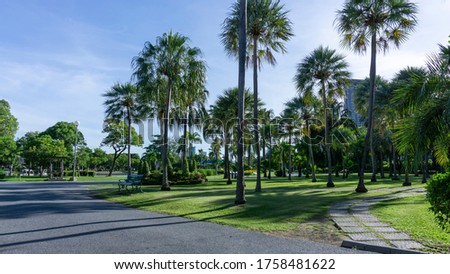 Tropical Palm garden landscape on green grass lawn, outdoor seat and walkway in public park under blue sky