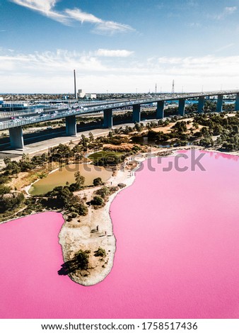 Melbourne's pink salt water lake thriving at its best during summer. (Westgate Park)