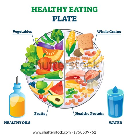 Healthy eating plate vector illustration. Labeled educational food example scheme with vegetables, whole grains, fruit and protein as needed nutrition elements and ingredients. Diet product collection Royalty-Free Stock Photo #1758539762