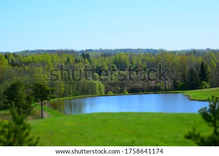 Beautiful background of mixed forest with spruce, fir and beech trees in the sunlights  in springtime. Stock Image