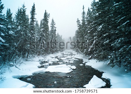 River with Chunks of Frozen Ice Surrounded by Snow and Pine Trees in the Cold Winter in Chic Chocs, Quebec / Canada Royalty-Free Stock Photo #1758739571