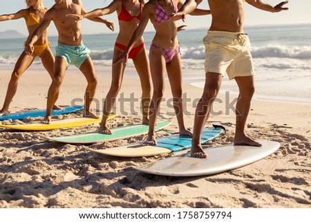 A multi-ethnic group of male and female friends standing in a row on surfboards on a sunny beach, during a holiday surfing lesson, with sunny sky and sea in the background
