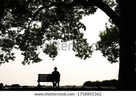 A man sits on a bench on the grass under a tree