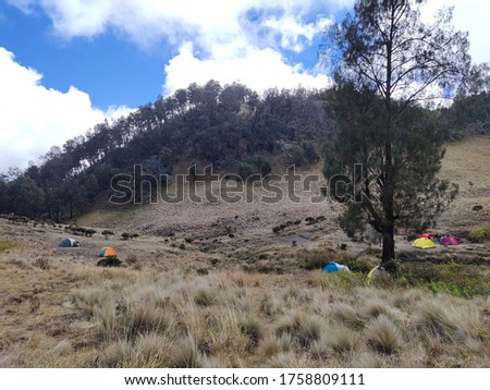Hiking Mountain, Picture of Camp Ground in Mountain, Tents, Savana, and Tree
