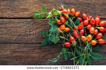 Dog rose, bunch branch Rosehips, types Rosa canina hips Medicinal plants herbs composition on wooden Royalty-Free Stock Photo #1758861371