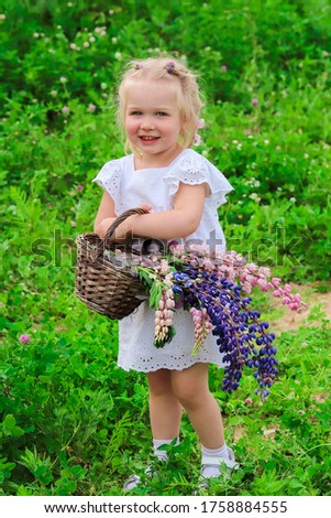 A cute little girl is standing with a basket of lupine flowers
