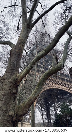 Eiffel Tower in Paris through the trees