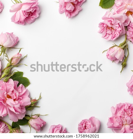 Floral frame made of pink damask roses and green leaves on white background. Flat lay, top view.