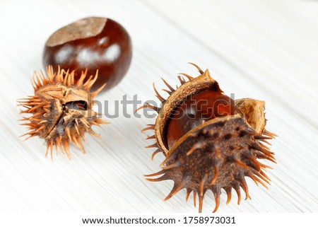 Chestnuts on a white wooden table for autumn design.