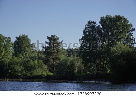 Riverside. Summer landscape with river and trees.