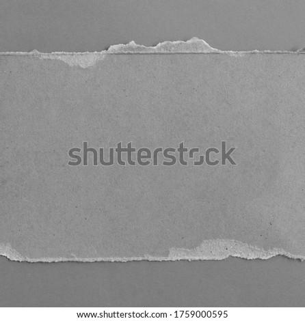 pieces of torn paper texture background, copy space for text.