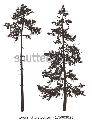silhouettes of two pine trees on a white background