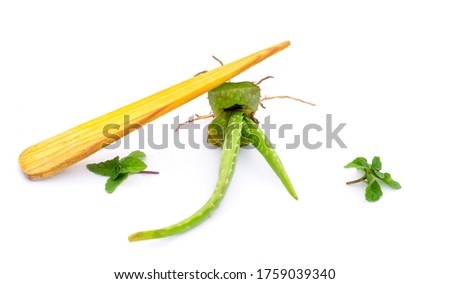 Herbal medicine - aloe vera root and Mint,pudina with wood stick isolated on  white background