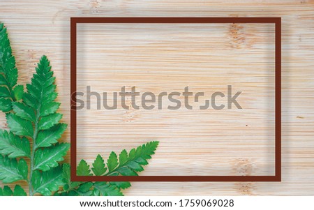 Summer fresh leaves fern frame on wooden board background. Copy space tropical leaves background