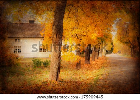 Fall in the Park. Texture conceptual image.