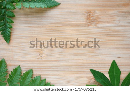 Summer fresh leaves fern frame on wooden board background. Copy space leaves background for text