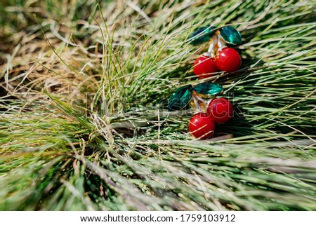 Cute little brooches in the form of red cherries with green leaves made of emerald green stones. Combined with different elements of nature, a thin multiple green grass
