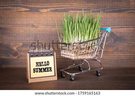 HELLO SUMMER. Shopping carts and green grass on a wooden background