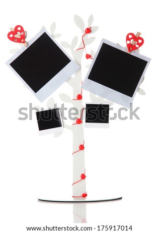 Holder in form of tree with instant photo cards isolated on white