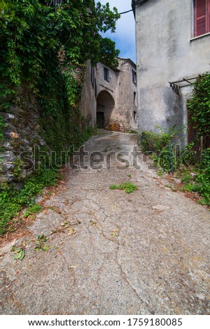 A lowangle view on a narrow alley with nobody in Costarician village in the mountains leading to wooden stack during summertime on a sunny day with a blue sky and  green plants on the sidewalks