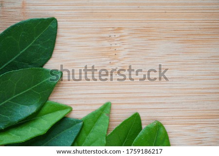 green leaves on wooden background. Blank for advertising card or invitation.