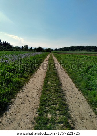 Road between two fields against blue sky