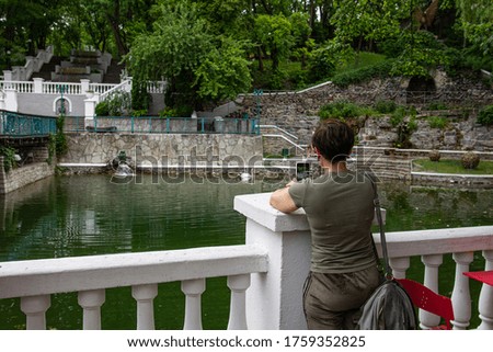 Young woman with smartphone photographing swan on the lake