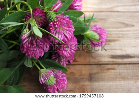 Red clover flowers bouquet on rustic wooden table. Summer floral decor and medicinal plants 