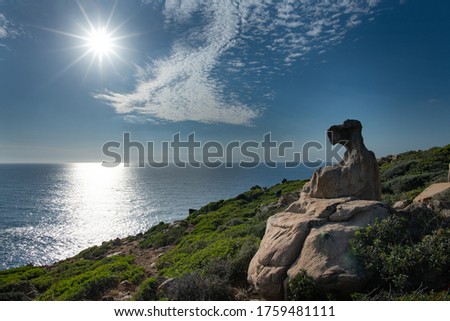 seascape in a summer day with sunburst