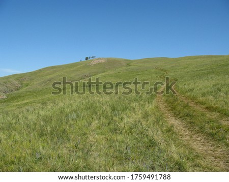 Field roads in the expanses of Khakassia.